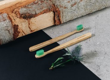 O požičovni vianočných stromčekov, darovaní idey či eko darčeka